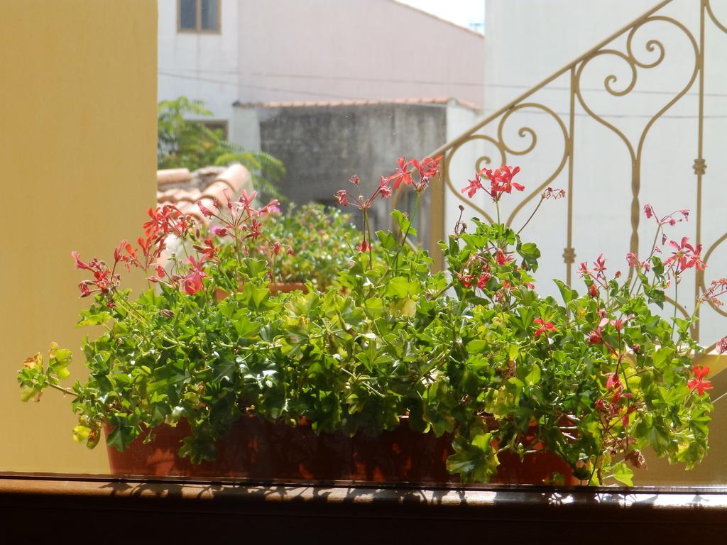 Sa Chessa B&B Ploaghe Екстер'єр фото